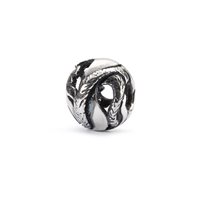 Charm Trollbeads Beads in Argento TAGBE-10159